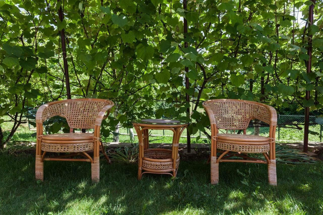 Green Oase Slunj Dış mekan fotoğraf
